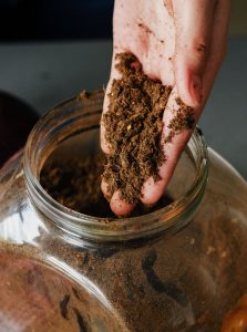 FoodCycler end-product held over a container of the dry, nutrient-rich end-product.